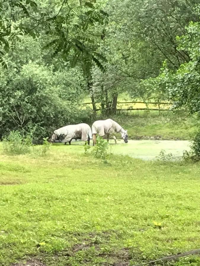 B&B Landgoed Bergerven Horn Luaran gambar